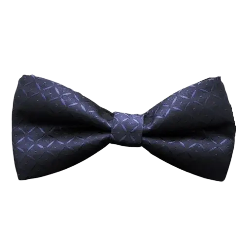 Noeud Papillon Bleu